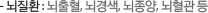 - 뇌질환 : 뇌출혈, 뇌경색, 뇌종양, 뇌혈관 등