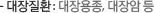 - 대장질환 : 대장용종, 대장암 등