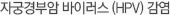 자궁경부암 바이러스 (HPV) 감염