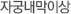 자궁내막이상