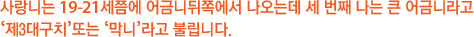 사랑니는 19-21세쯤에 어금니뒤쪽에서 나오는데 세 번째 나는 큰 어금니라고 ‘제3대구치’또는 ‘막니’라고 불립니다.