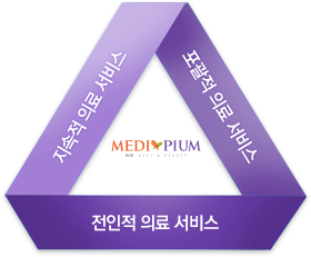 지속적 의료 서비스  포괄적 의료 서비스 전인적 의료 서비스 매디피움