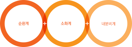 순환계 + 소화계 + 내분비계
